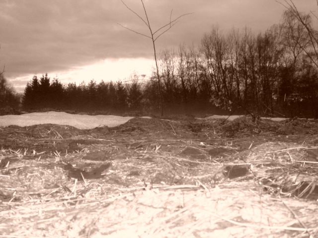 DSC01887.JPG