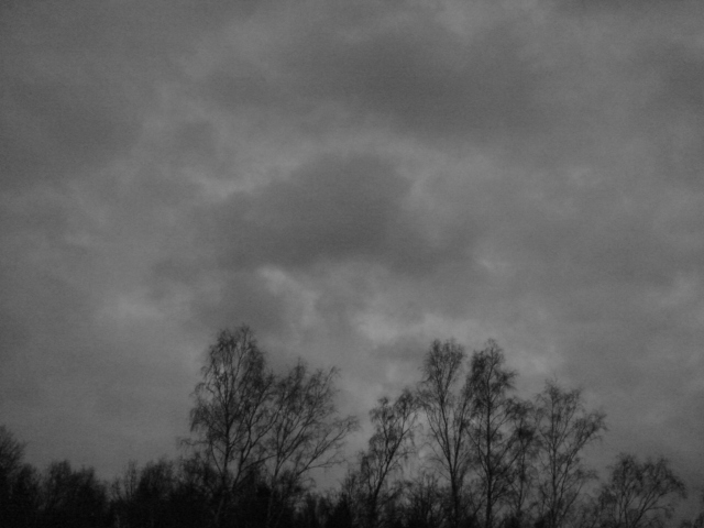 DSC01895.JPG