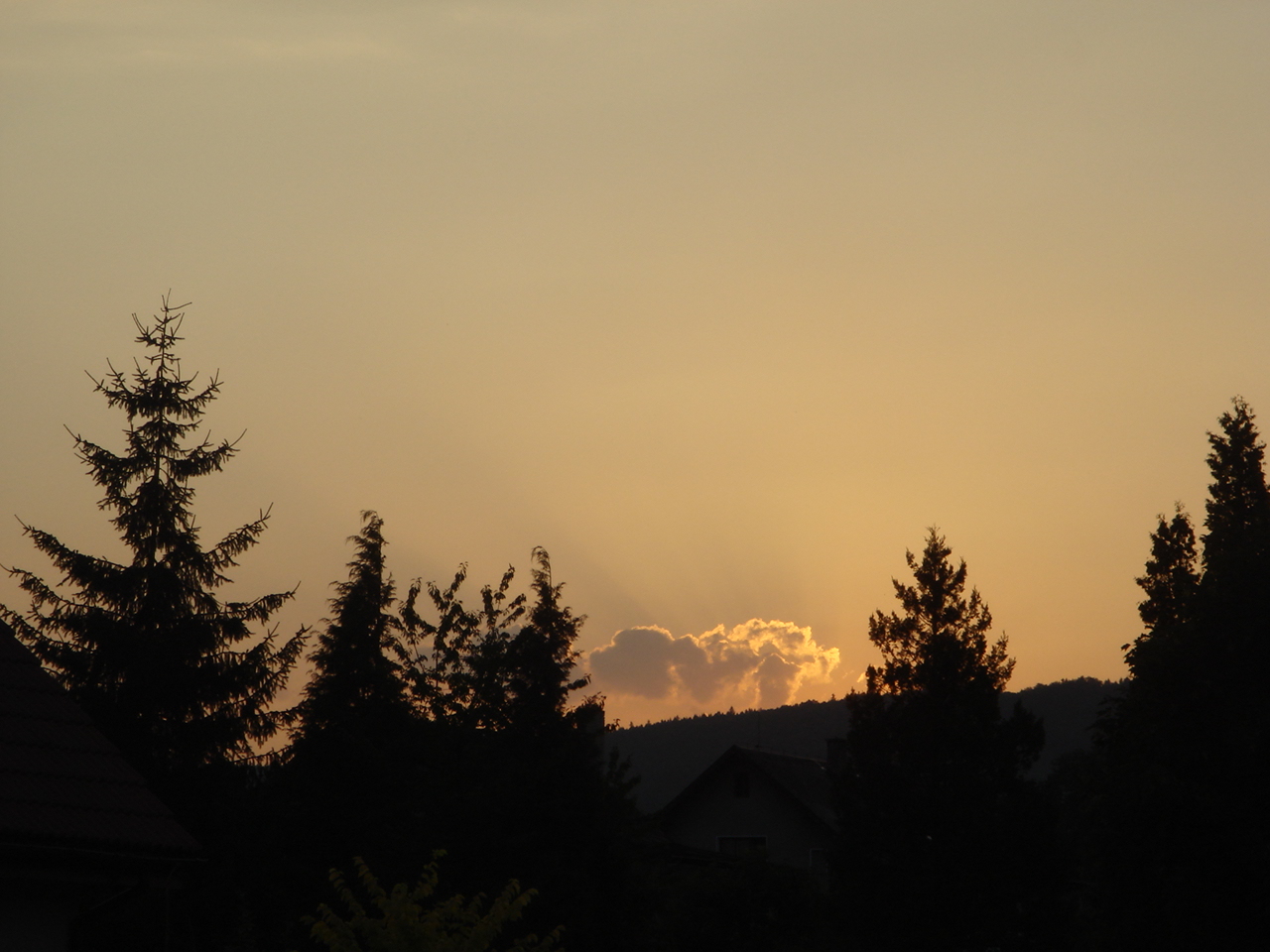 DSC05043.JPG